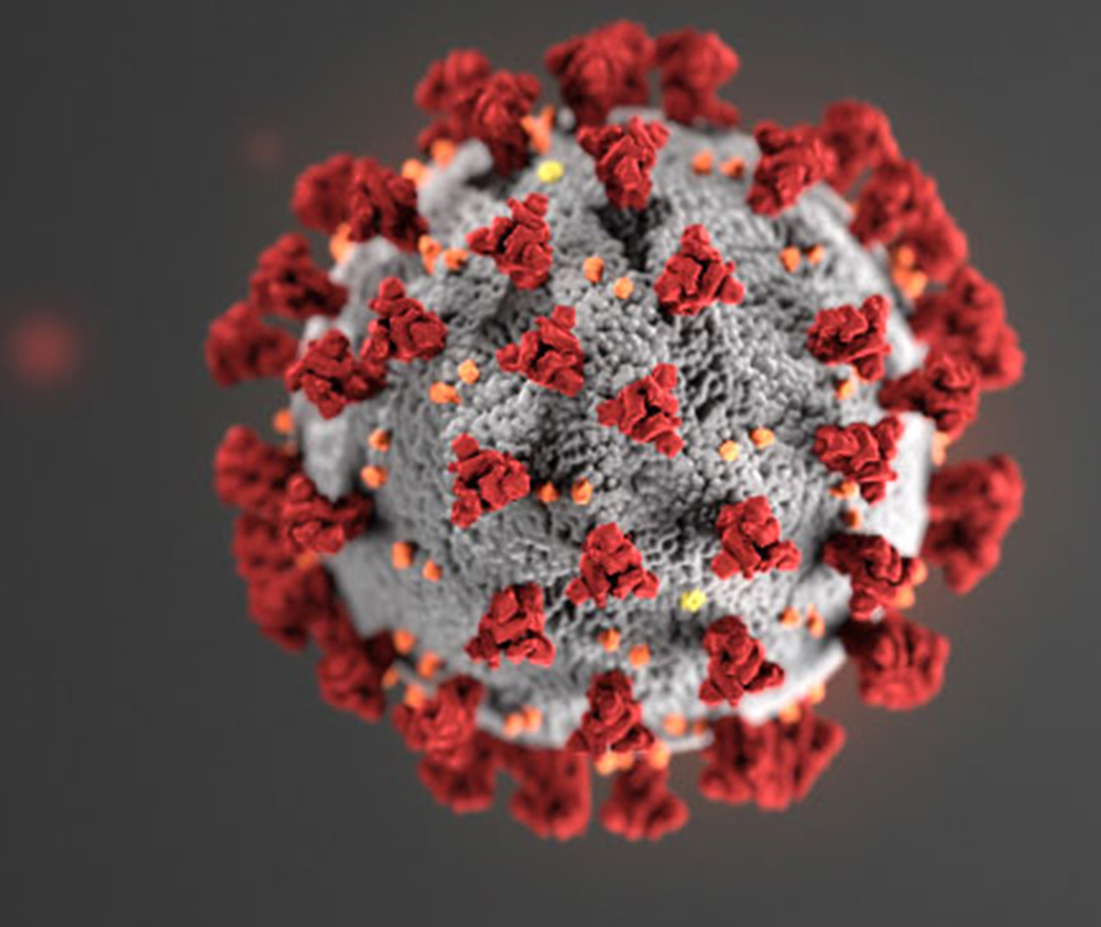Powiększony widok na wirusa SARS-CoV-2 przedstawiający szarą kulkę z wypustkami w kolorze czerwonym